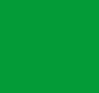 Dark green square